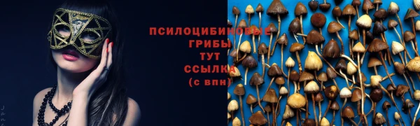 ГАЛЛЮЦИНОГЕННЫЕ ГРИБЫ Магас