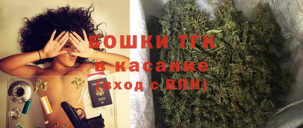 ГАЛЛЮЦИНОГЕННЫЕ ГРИБЫ Магас