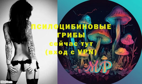 меф Майский