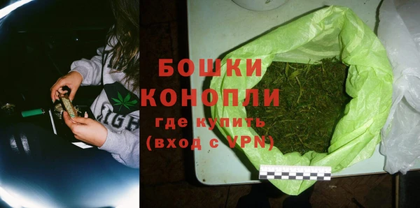 ГАЛЛЮЦИНОГЕННЫЕ ГРИБЫ Магас