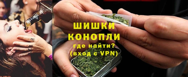 ГАЛЛЮЦИНОГЕННЫЕ ГРИБЫ Магас