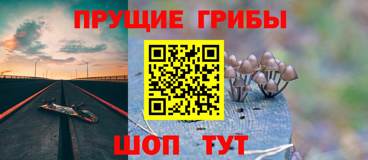 Псилоцибиновые грибы GOLDEN TEACHER Дюртюли